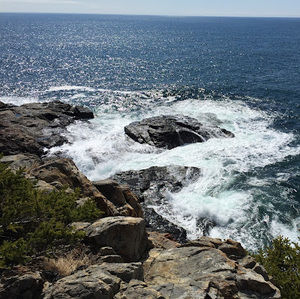 Meet your Posher, Lexie